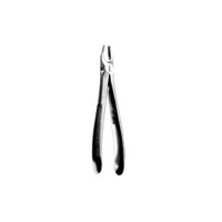 Extracting Forceps